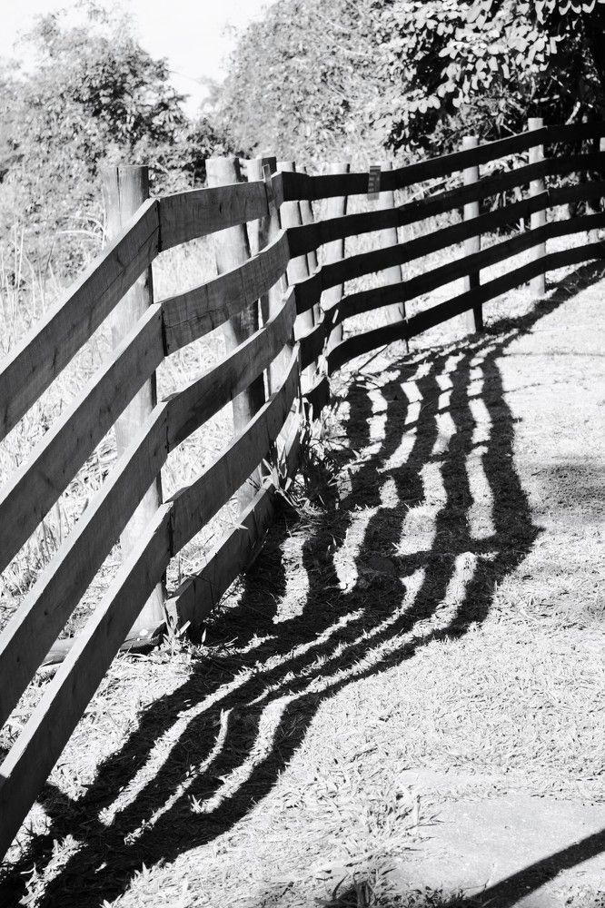 Photograph by Régis Santos