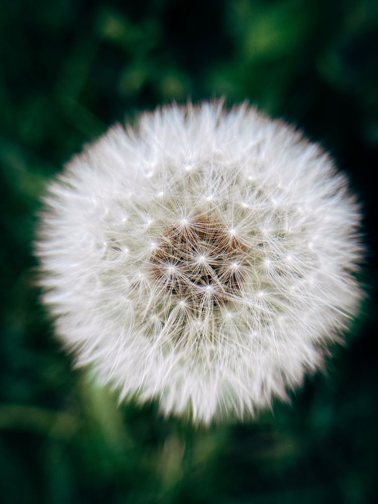 Photograph by Дарья Андреева