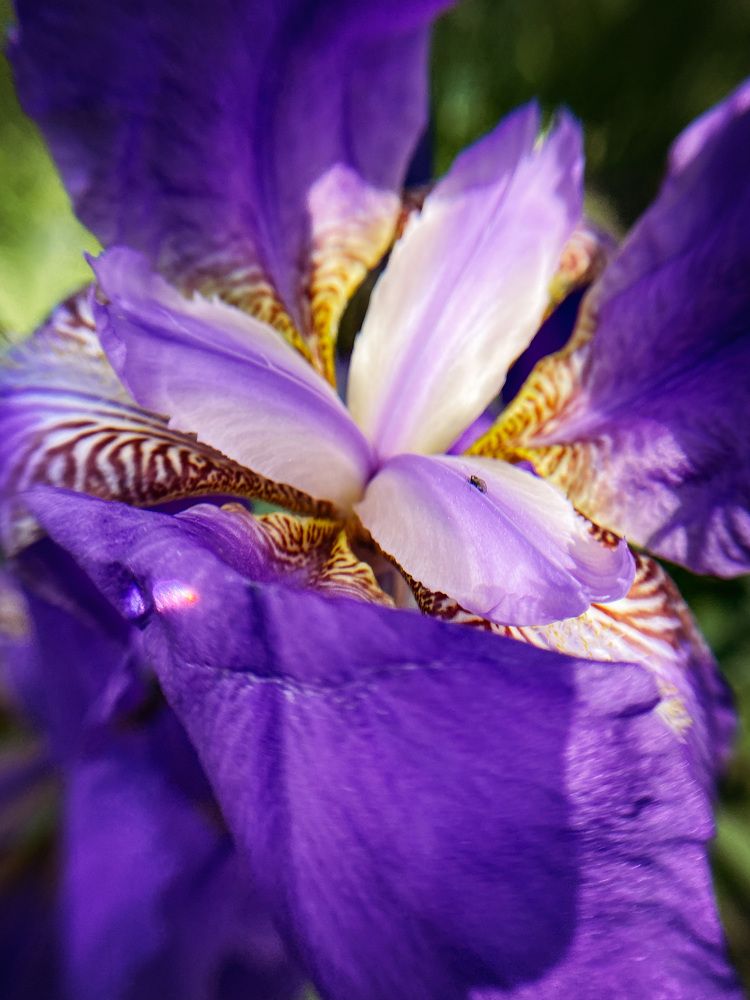 Photograph by Дарья Андреева