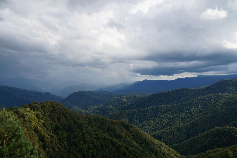 Фотография автора Маргарита Тетёркина
