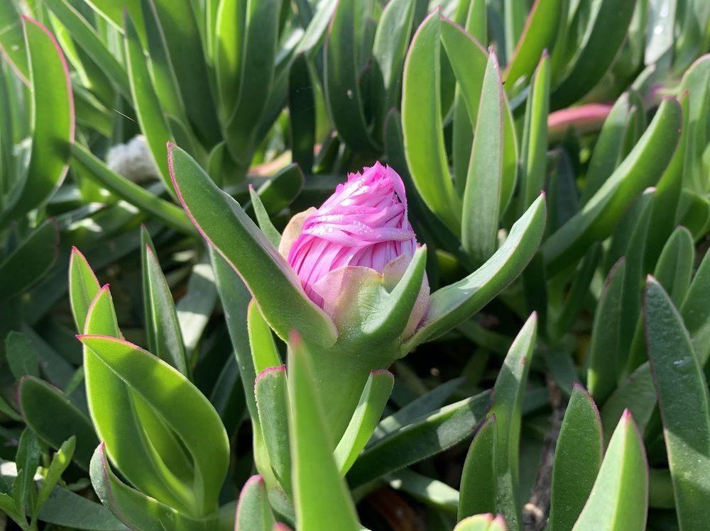 Photograph by Юлия Жолобова