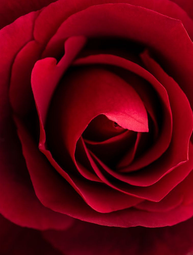 Photograph by Jorge Ivan Vasquez