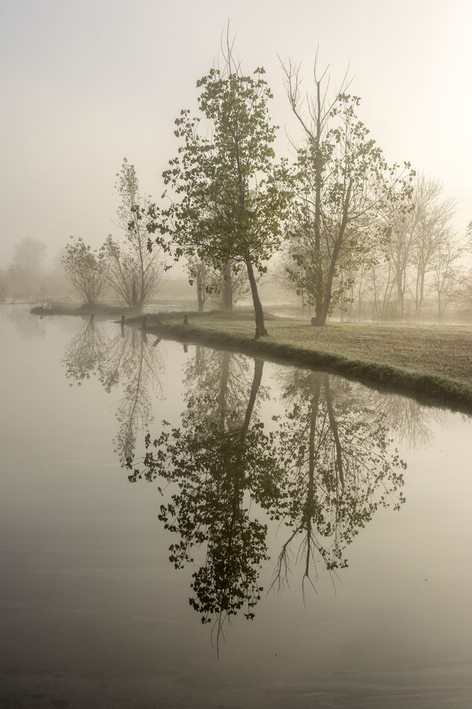 Photograph by gustavo gatto