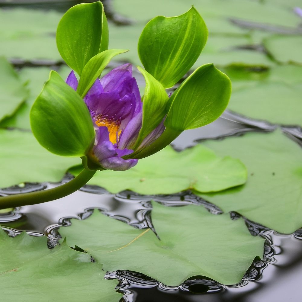 Фотография автора Альбина Хвастунова