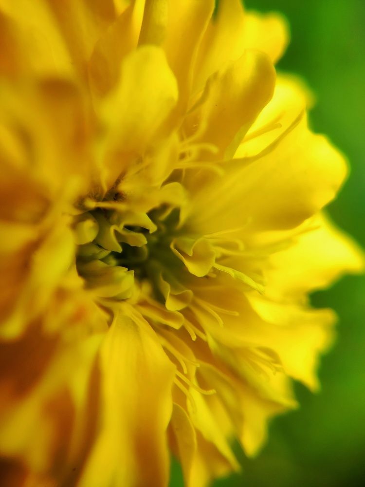 Photograph by prashant bamnawat