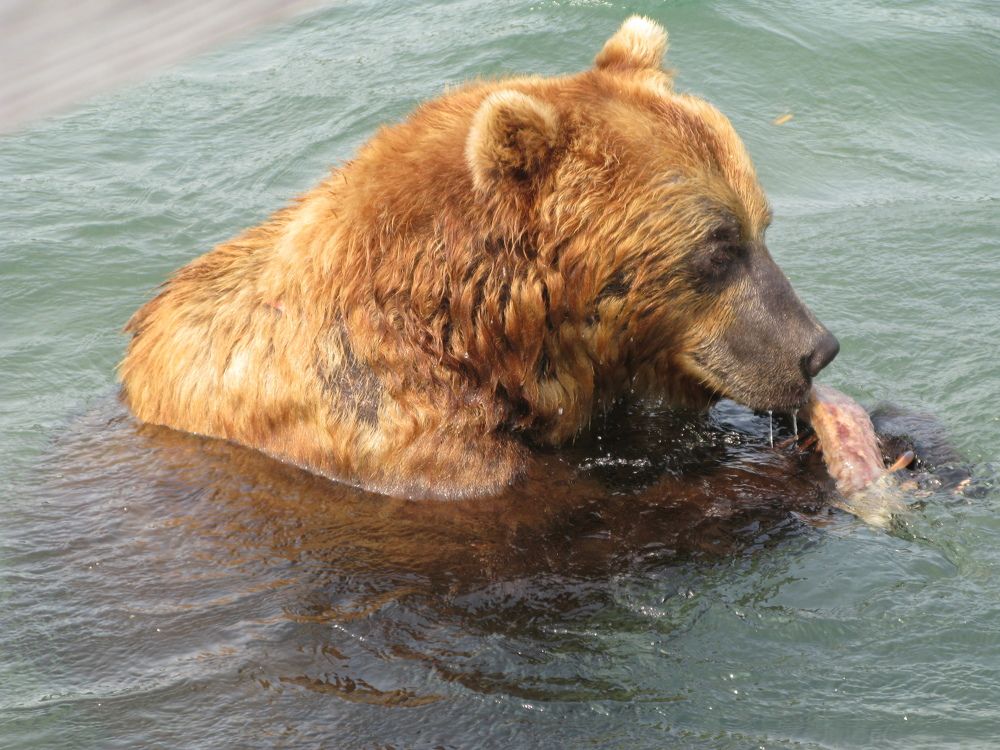 Photograph by Наталья Турчик