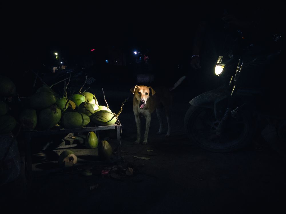 Photo #10994857