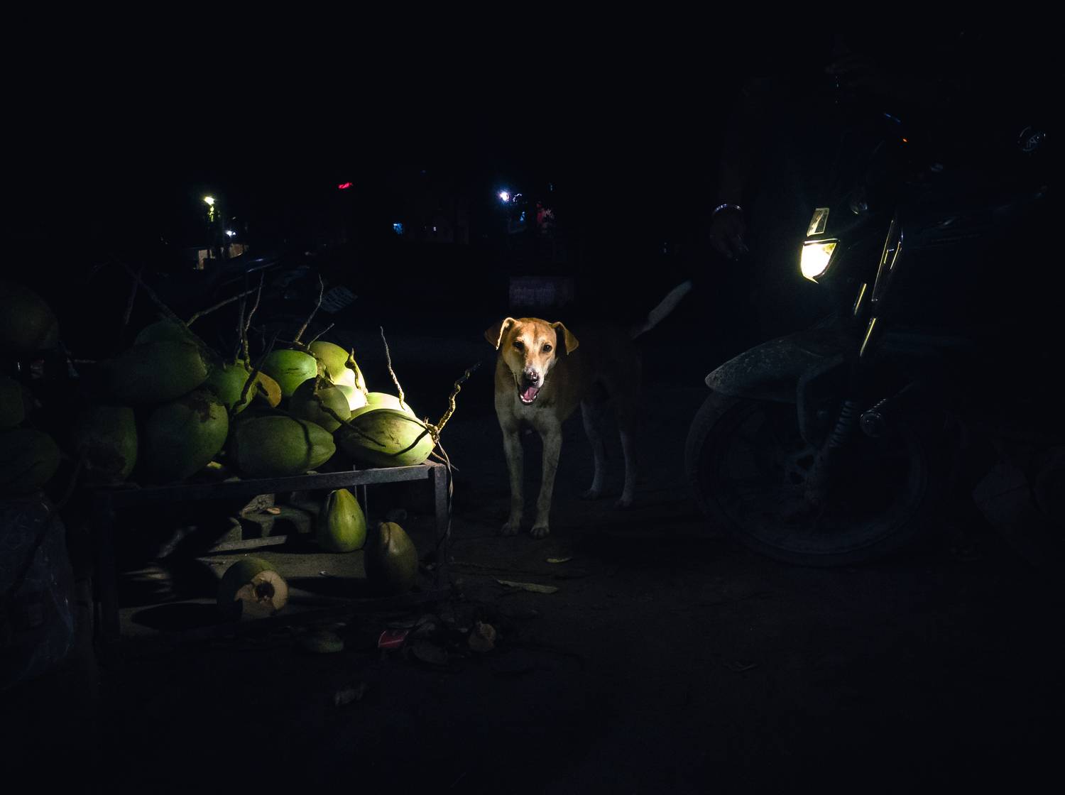 Photo #10994857