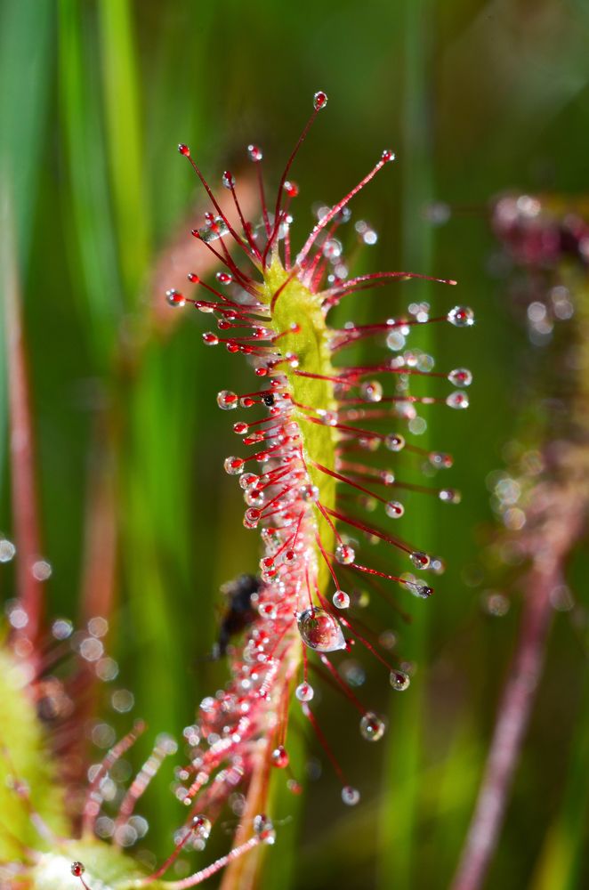 Фотография автора Вадим Писарев