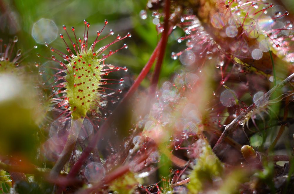 Фотография автора Вадим Писарев