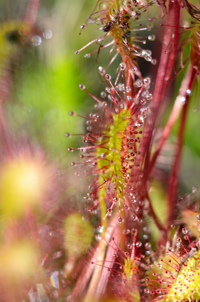 Фотография автора Вадим Писарев