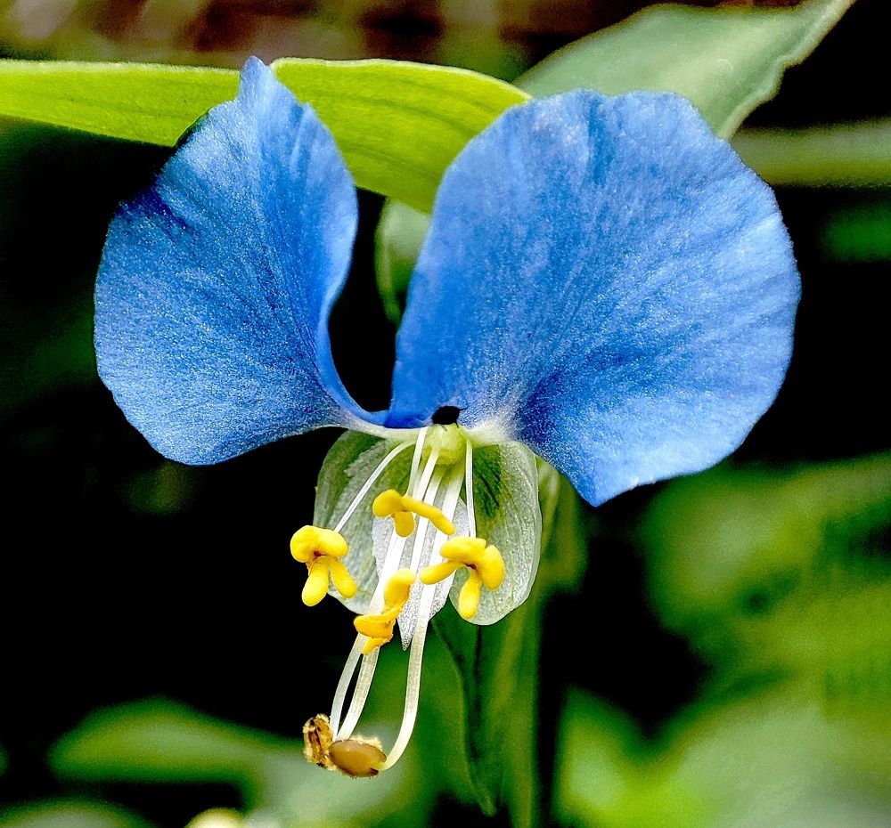 Photograph by Дина Желанова