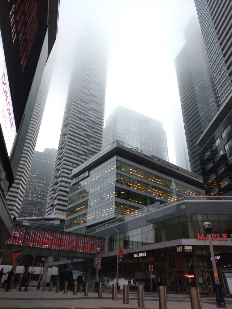 Concealed by a misty veil