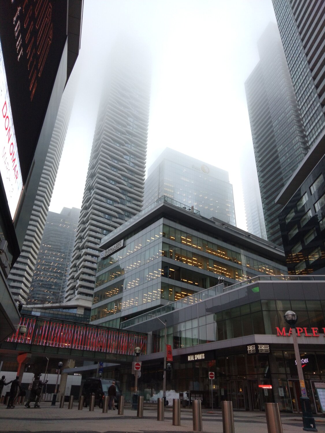 Concealed by a misty veil