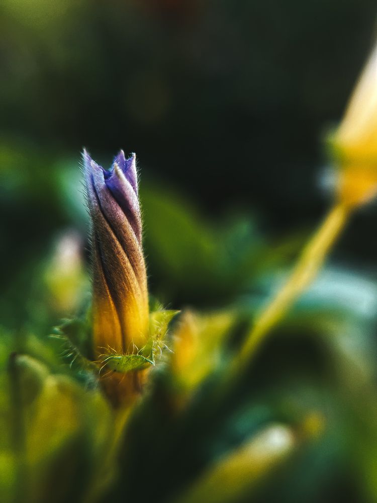 Photograph by Мария Журина