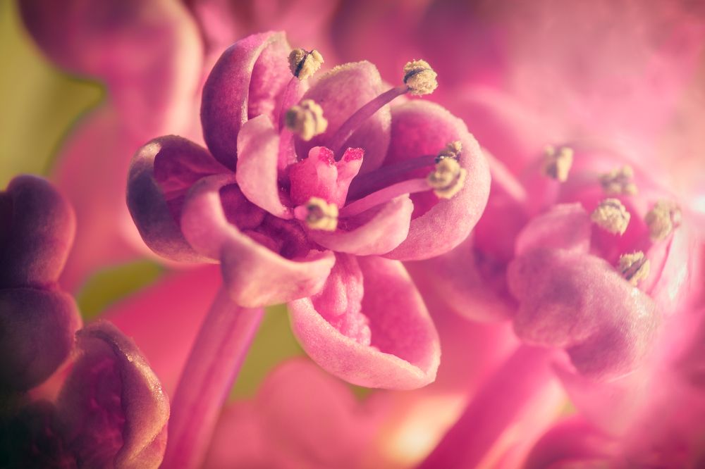 Photograph by Дмитрий Огольцов