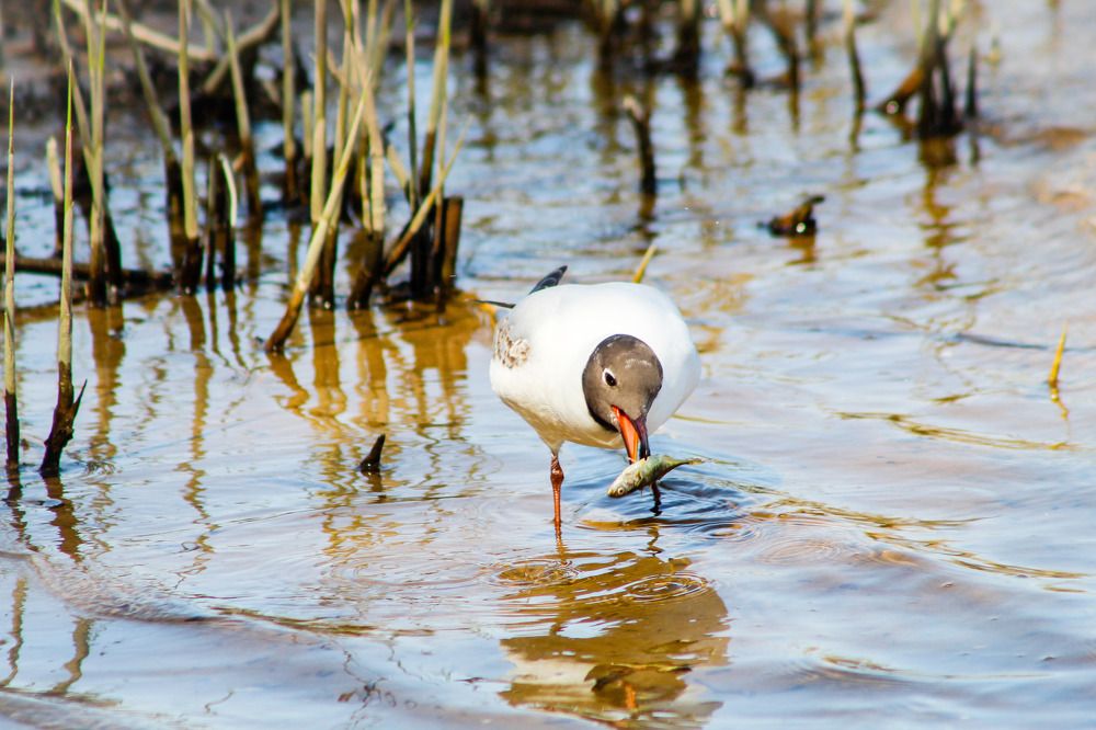 Photograph by Igors Rostikovs
