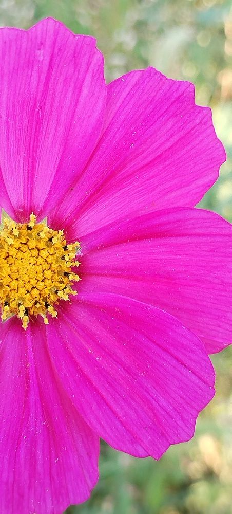 Photograph by Наталья Спешилова