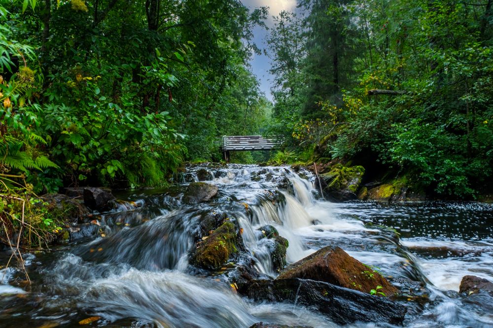 Photograph by Pavel S