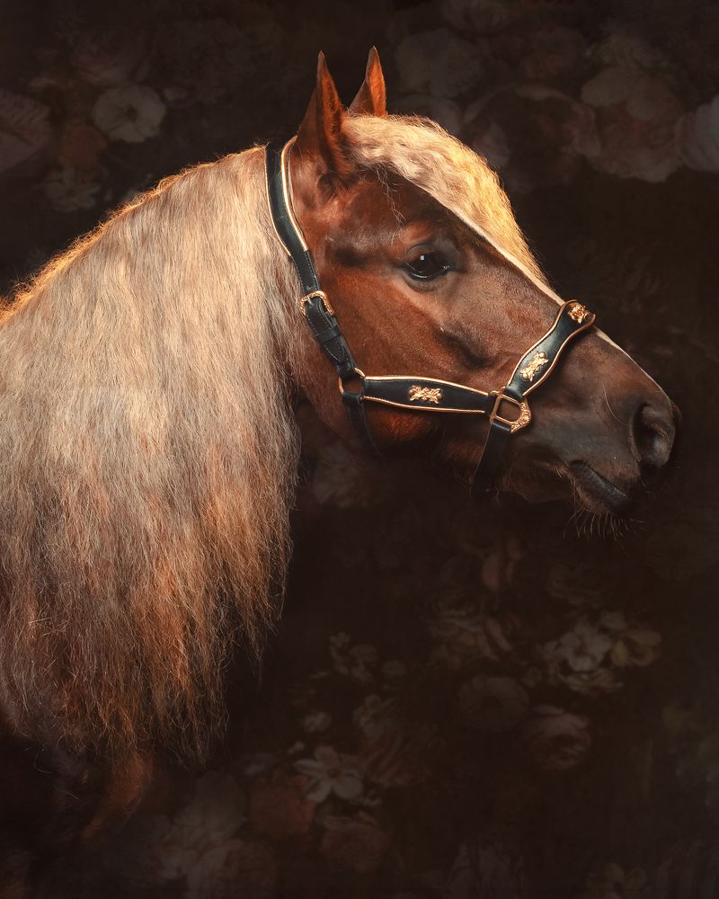 Photograph by Людмила Новосёлова