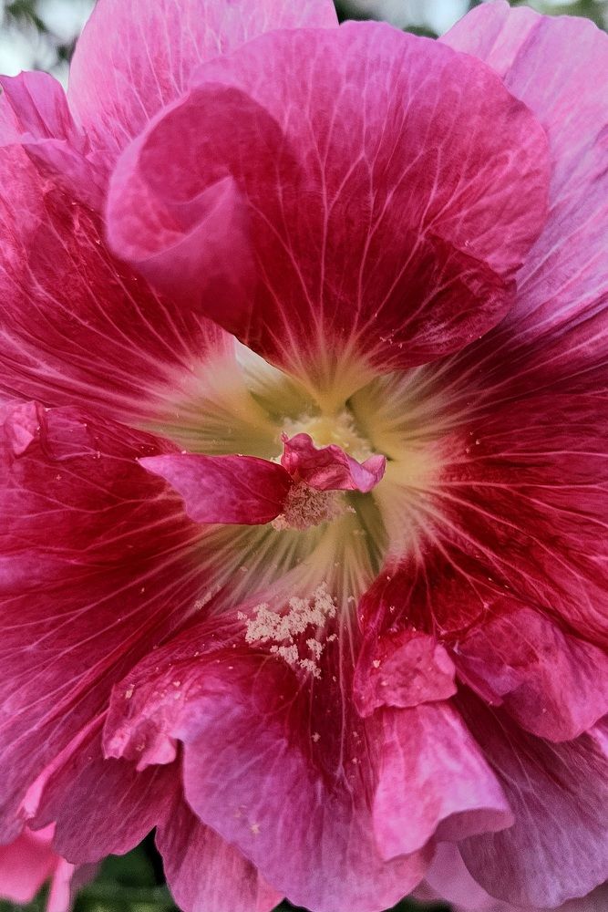 Photograph by Анастасия Свиридова