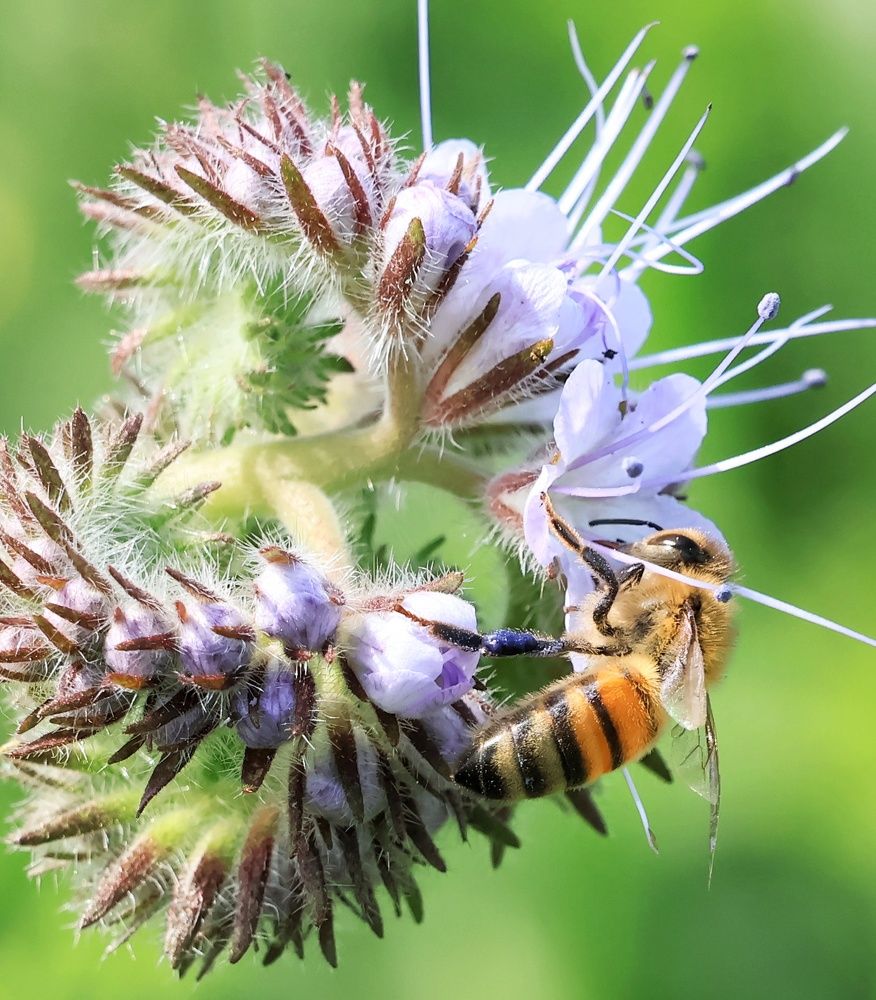 Photograph by Olga Asson