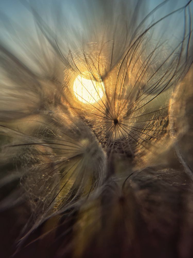 Photograph by Оксана Корепанова