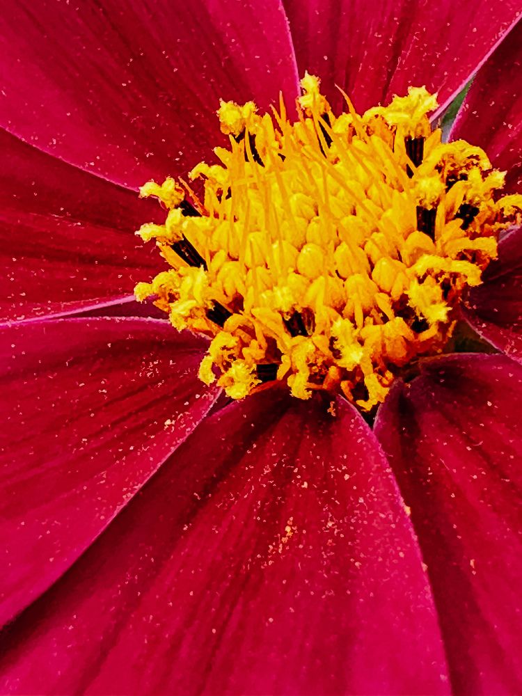 Фотография автора Асель Кузетова