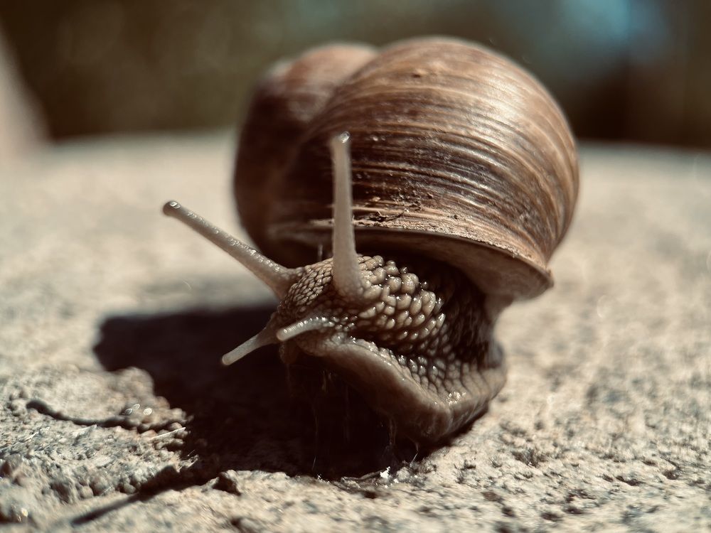 Photograph by Анастасия Бардыкина