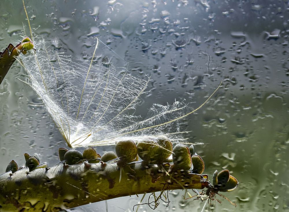 Photograph by Урасов Олег