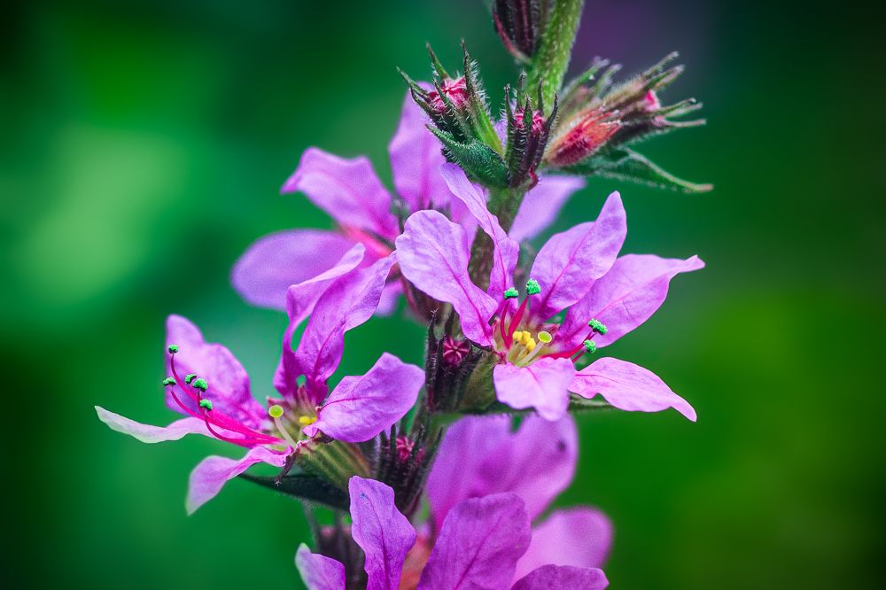 Photograph by Дмитрий Огольцов