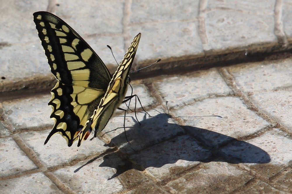 Photograph by Тамара Кремлева