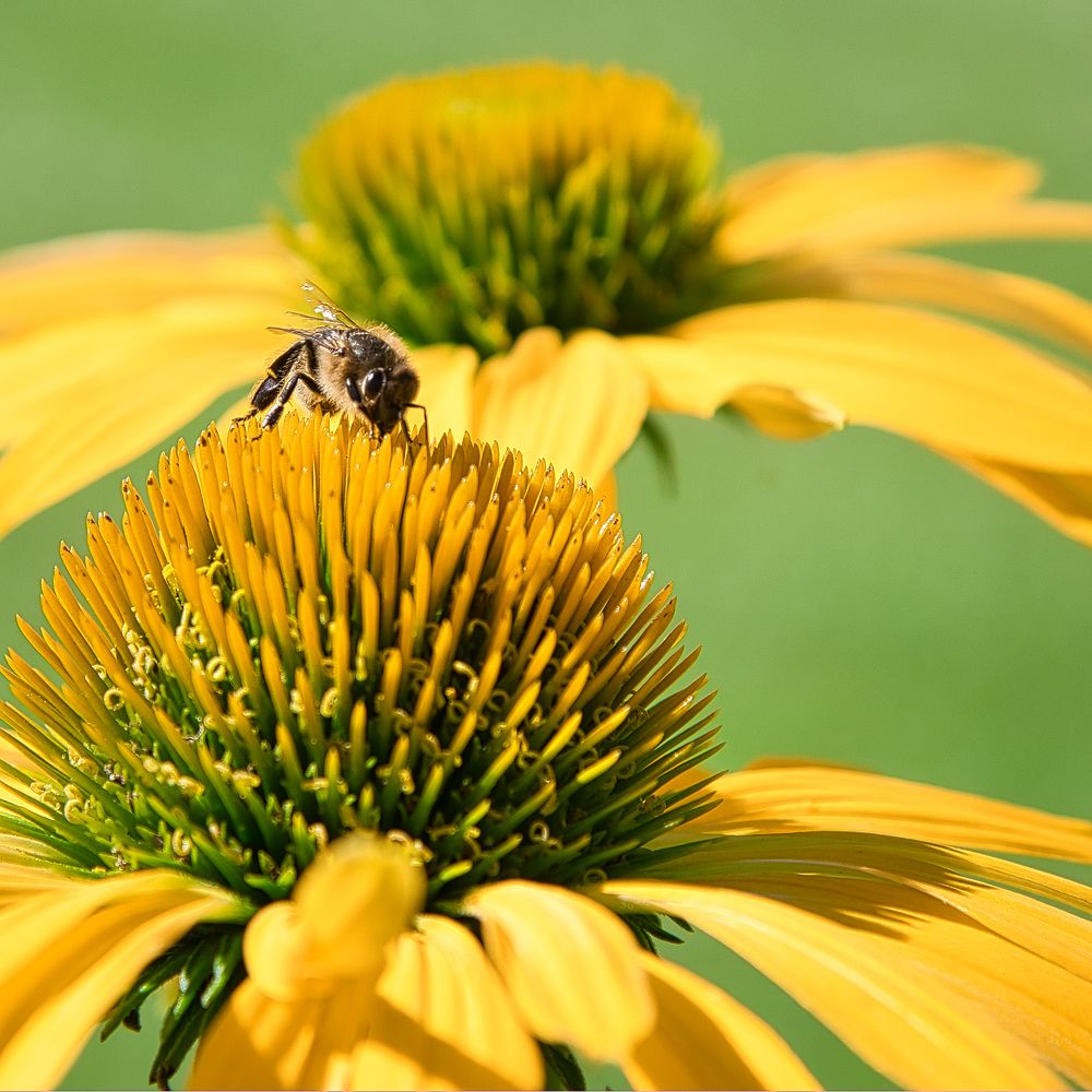 Photograph by Albina Kulikova