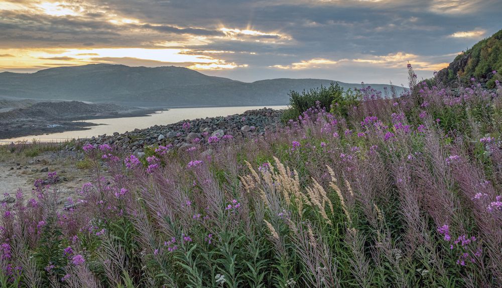 Photograph by Савчук Сергей