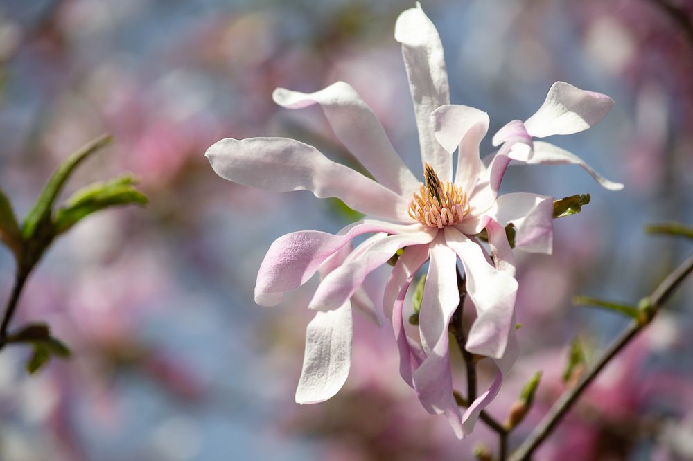 Photograph by Бугакова Ольга