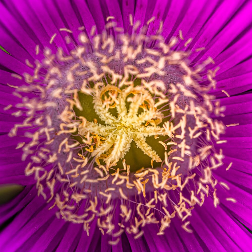 Photograph by Анна Стрелковская