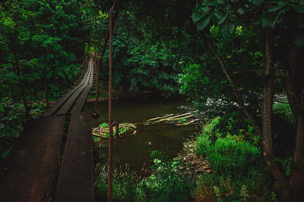 Photograph by Николай Сойнов