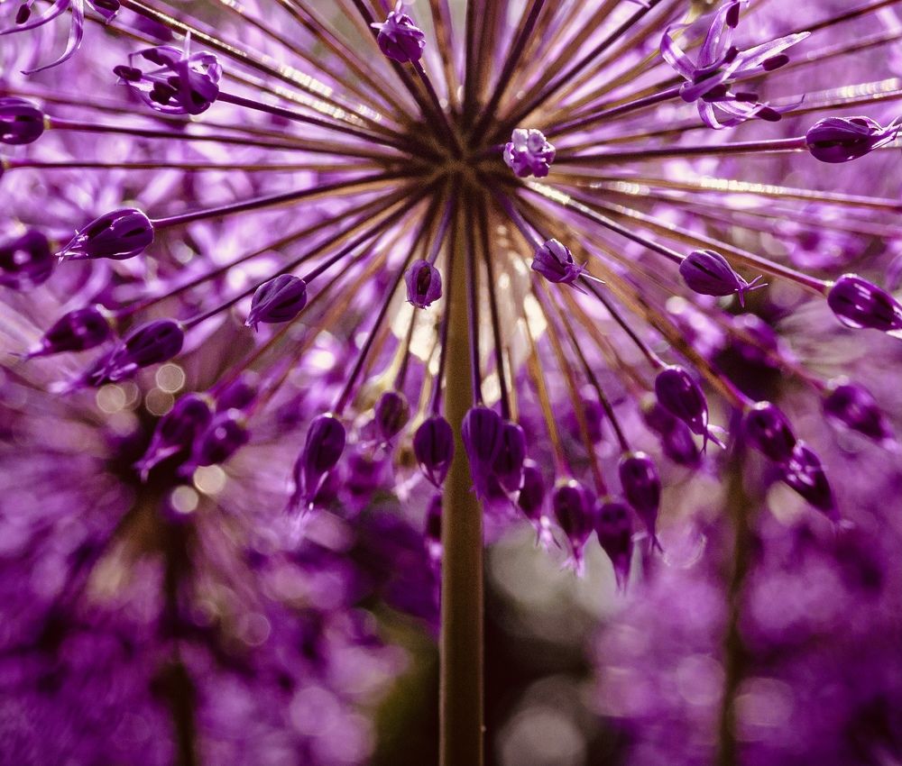 Photograph by Анна Стрелковская