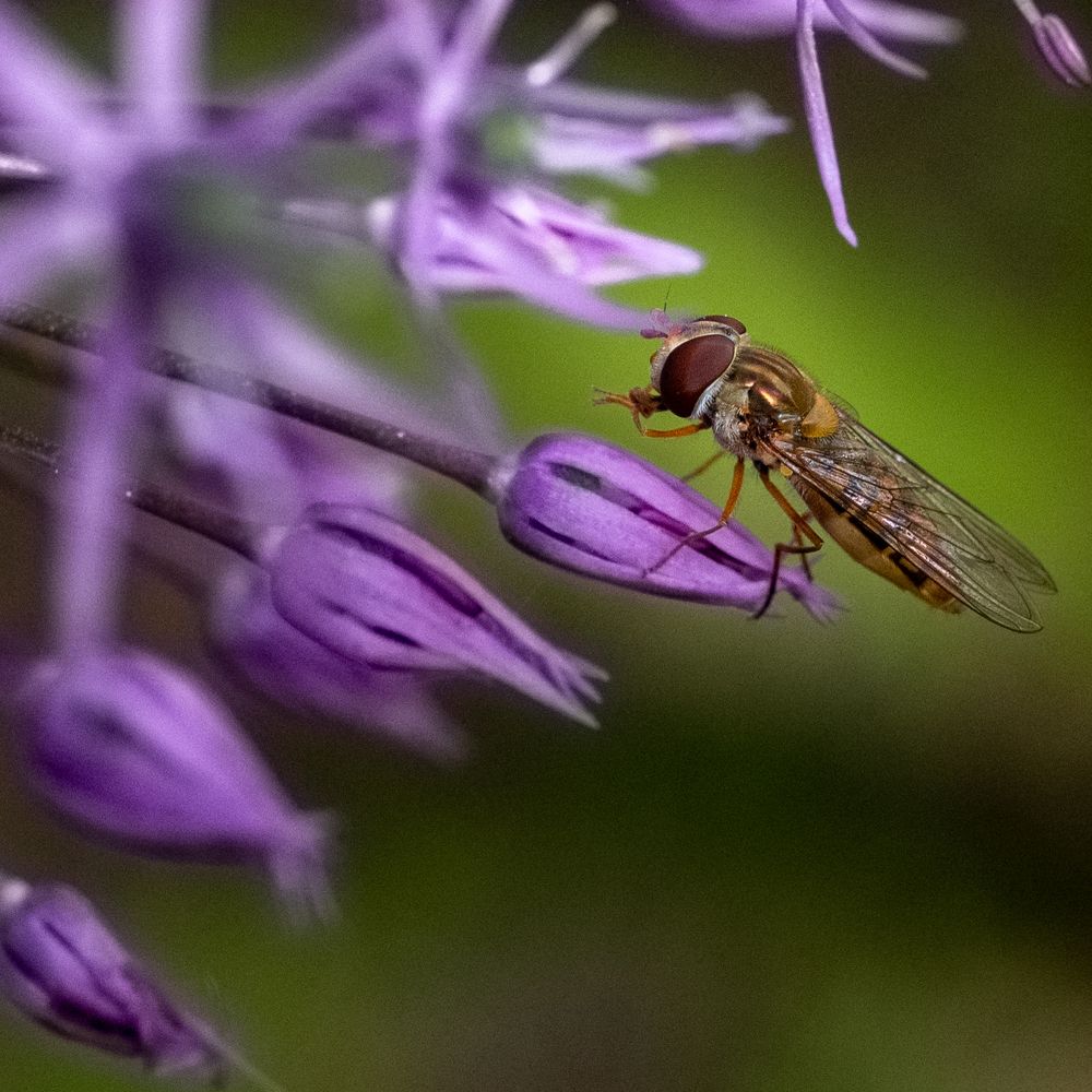 Photograph by Анна Стрелковская