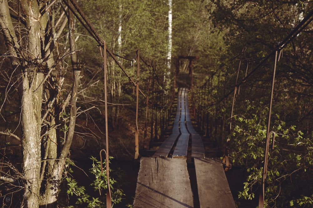 Photograph by Николай Сойнов