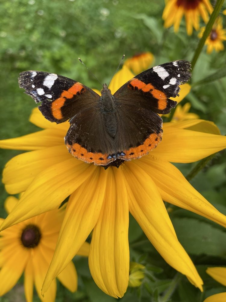 Photograph by Olesya Vladimirova