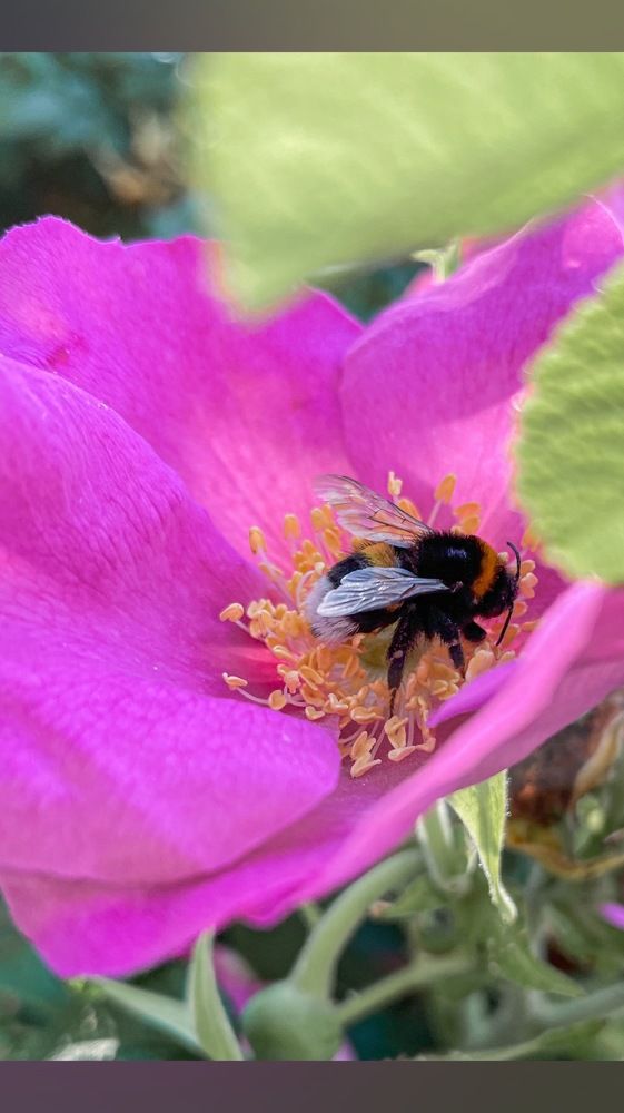 Photograph by Olesya Vladimirova