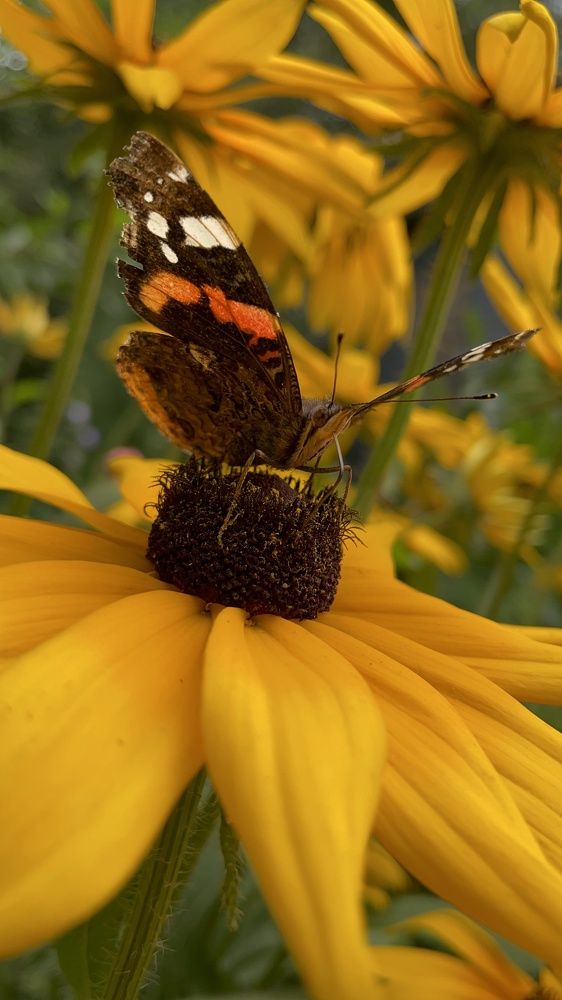 Photograph by Olesya Vladimirova