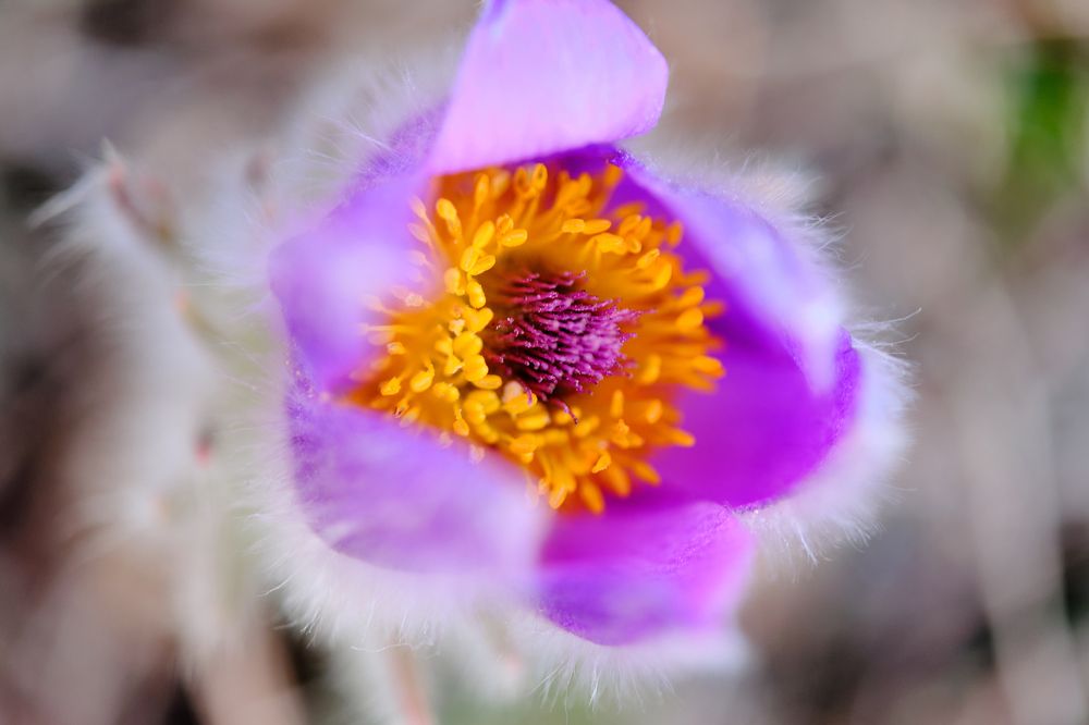 Photograph by Владислав Титов