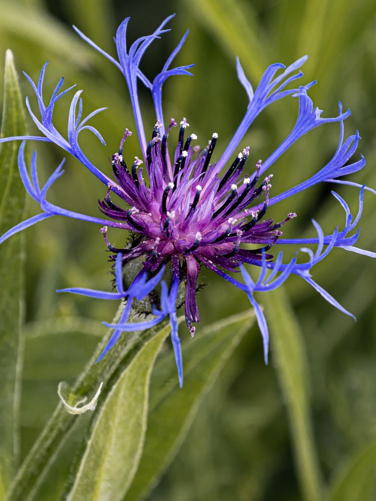 Photograph by Женя Жданова