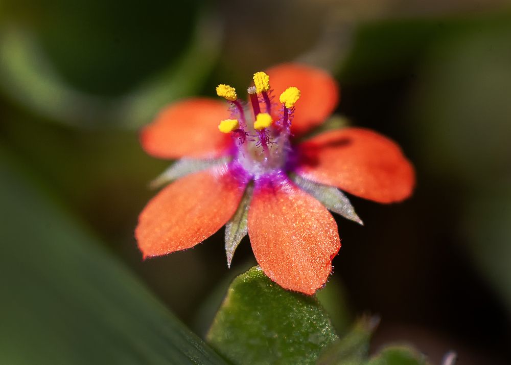 Photograph by Роман Приходько