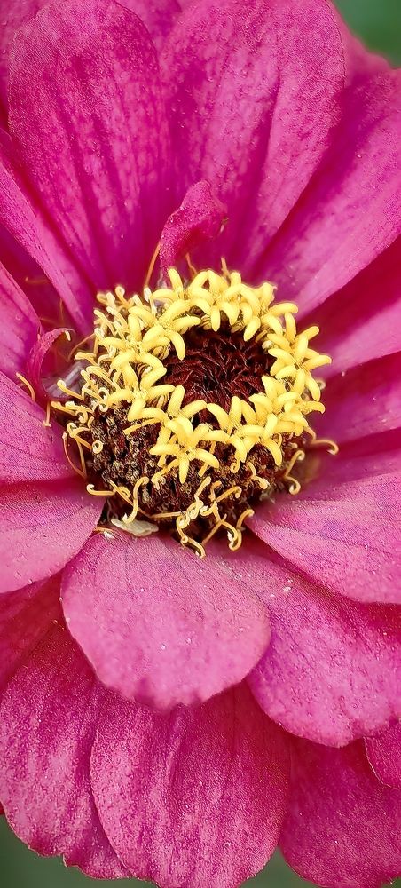 Photograph by Ольга Горох