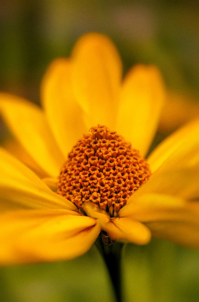 Фотография автора Юрий Серов