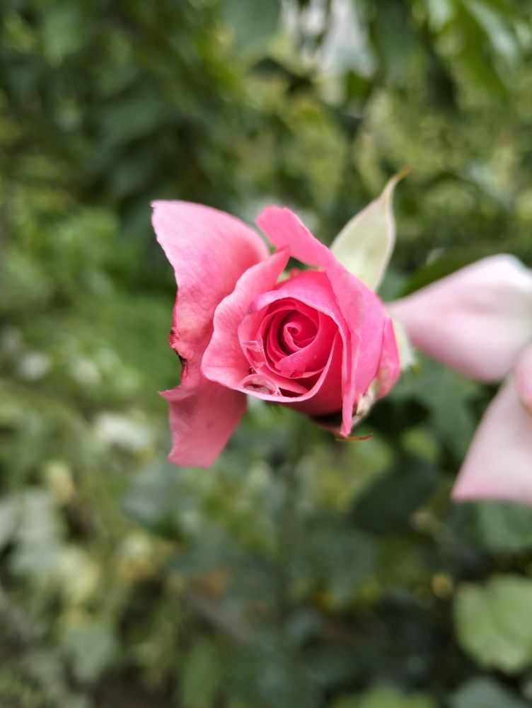 Photograph by Ishaq Karim