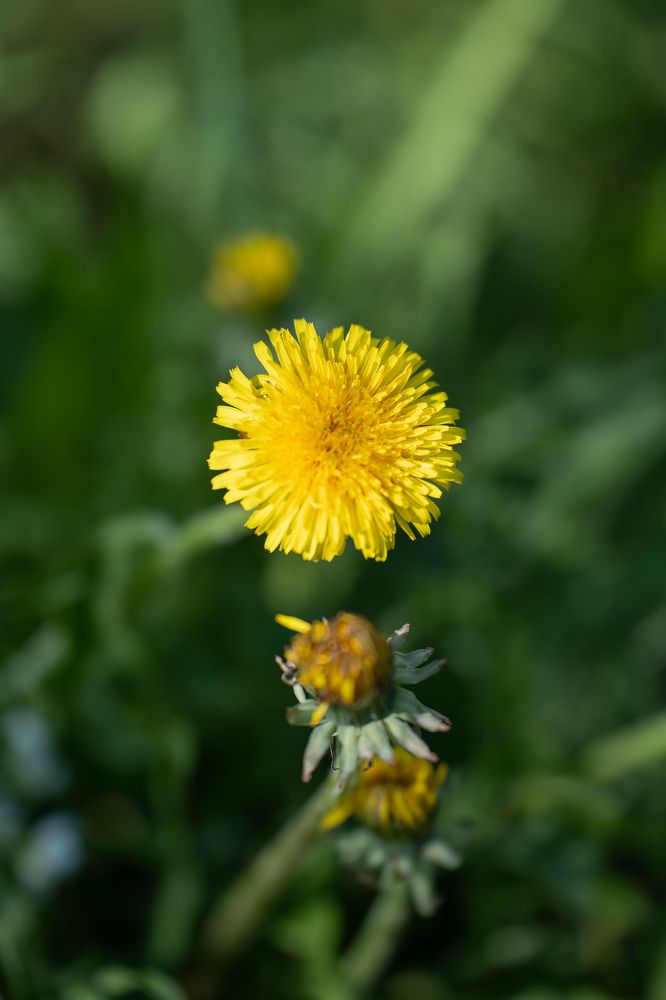 Photograph by Olesya Vladimirova